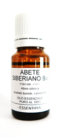 abetesiberiano Abete Siberiano Bio