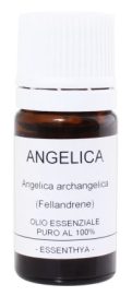 angelica Angelica