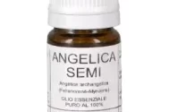 Angelica semi