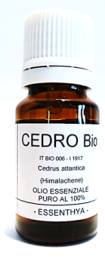 cedro Cedro Bio