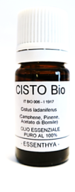 cisto Cisto Bio