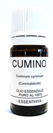 cumino Cumino